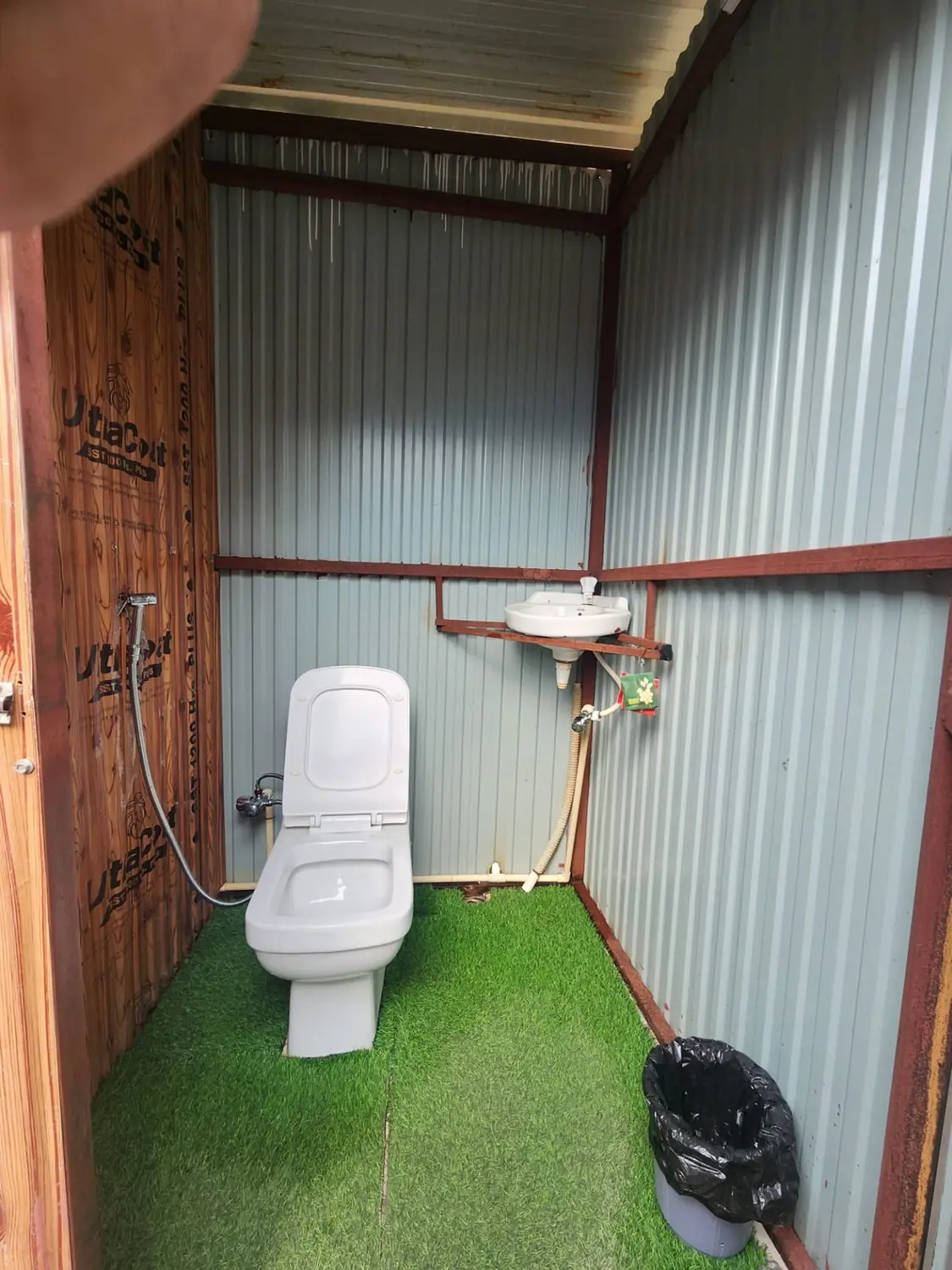 Shared washroom with a western-style toilet, basin and green turf floor at the retreat