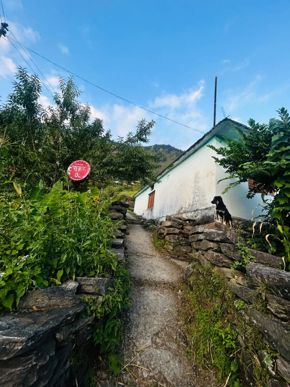 The stone footpath climbing between dry-stone walls and a village house, a dog watching from the terrace