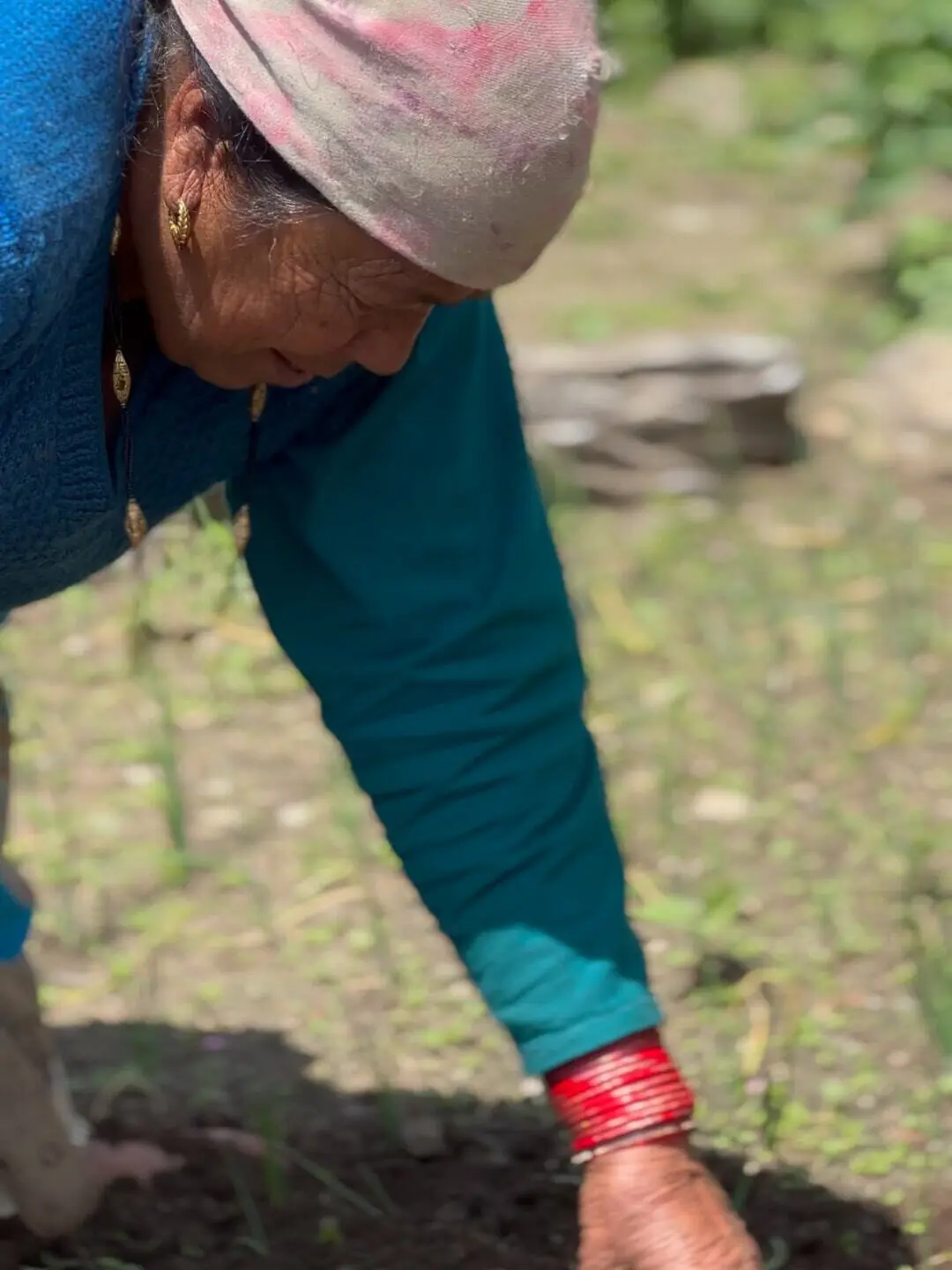 A local woman tending to fresh produce in the kitchen garden