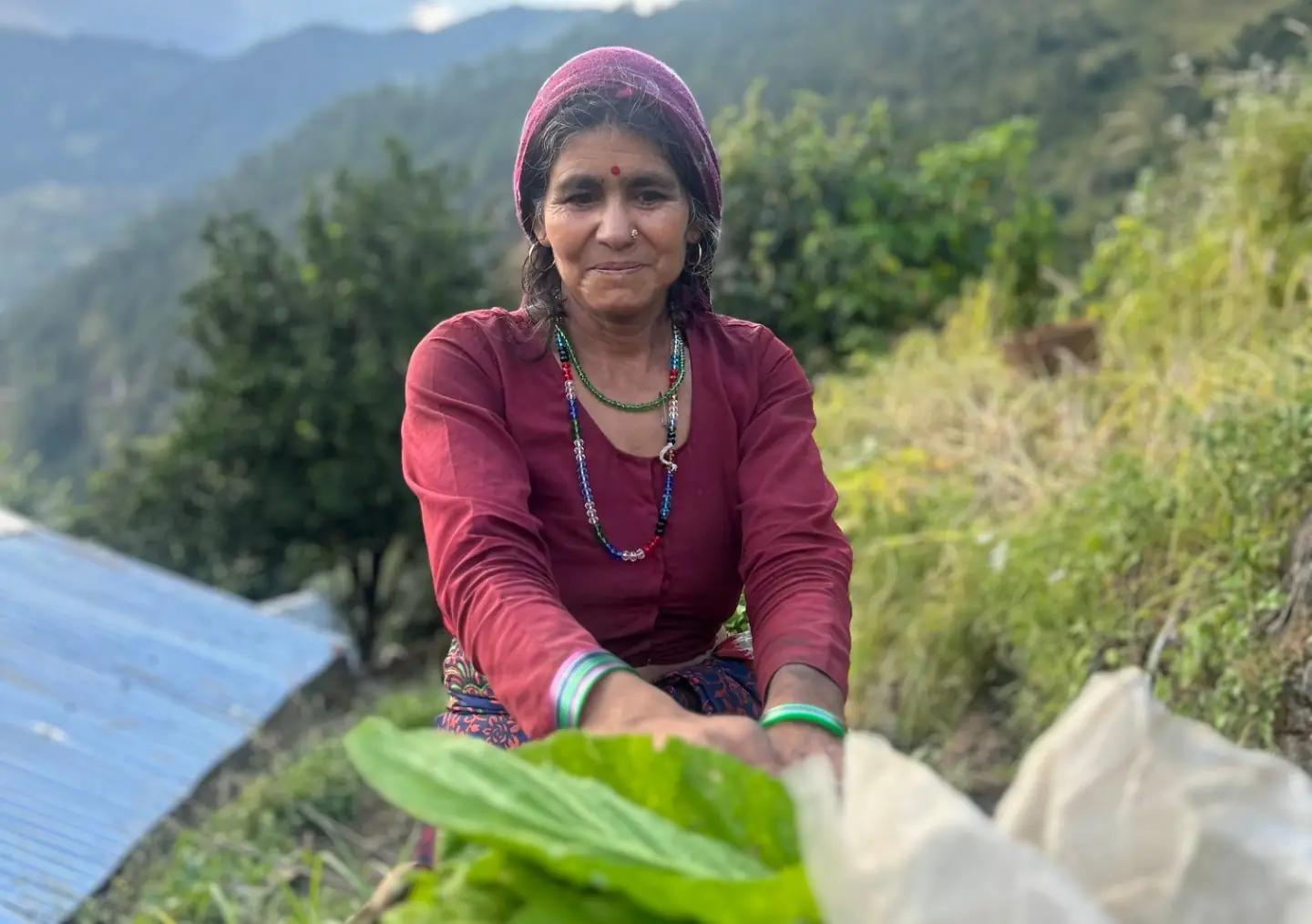A local woman holding freshly picked leafy greens in the mountain kitchen garden