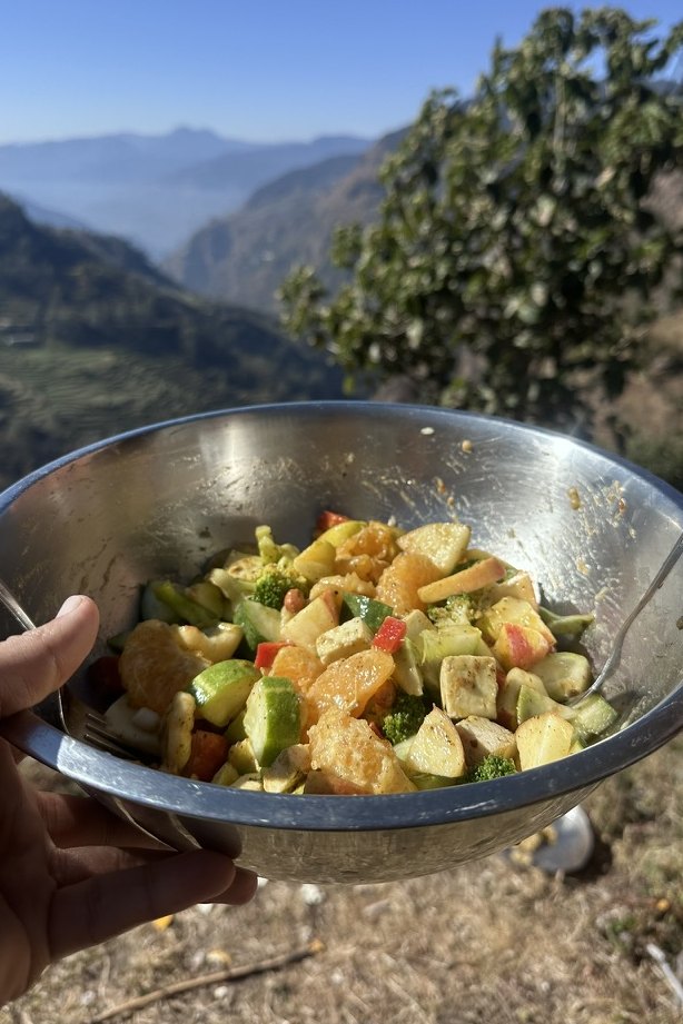 A steel bowl of fresh fruit and vegetable salad held up against the valley and distant Himalayan ridges